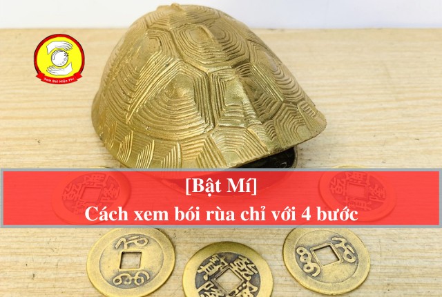 Luận giải xem bói rùa có ý nghĩa gì?