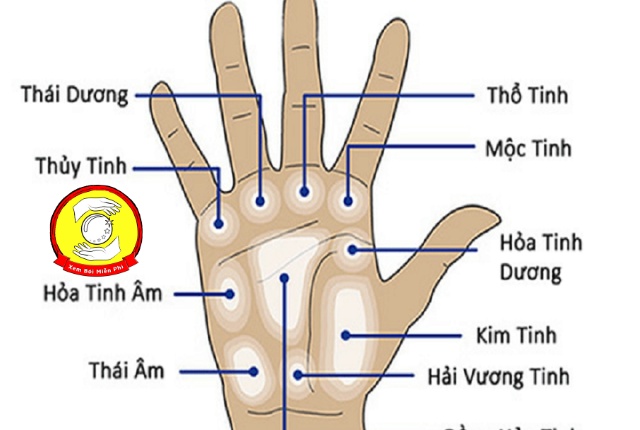 Chỉ tay trên gò Mộc Tinh mang ý nghĩa gì đặc biệt?