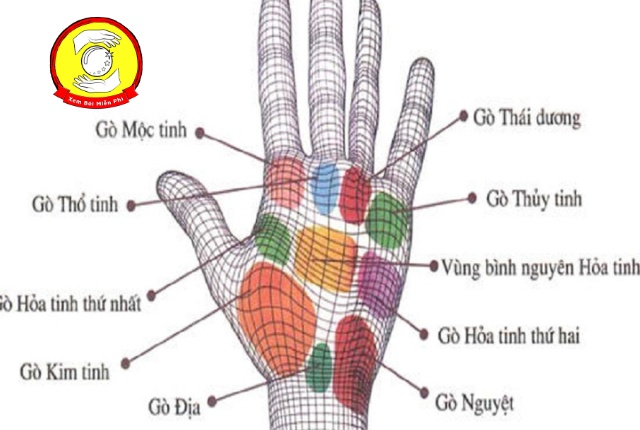 Vận mệnh và ý nghĩa của gò Hải Vương Tinh