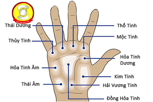 Ý nghĩa đường chỉ tay gò Hỏa Tinh Dương