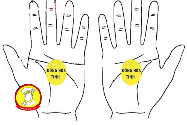 Luận giải ý nghĩa của Gò Đồng Hỏa Tinh trong lòng bàn tay