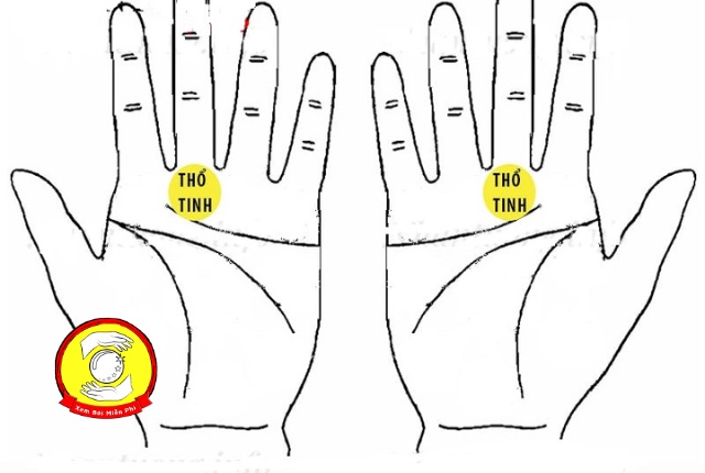 Luận giải ý nghĩa chỉ tay trên gò Thổ Tinh