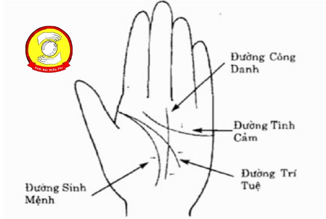 Giải thích ý nghĩa các đường chỉ tay bị mờ