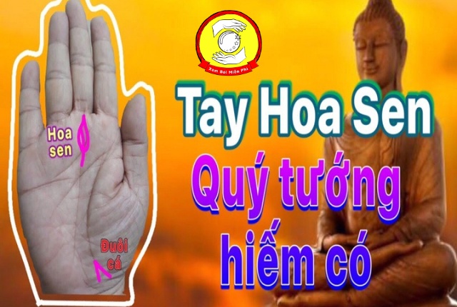 Luận giải ý nghĩa chỉ tay hình hoa sen