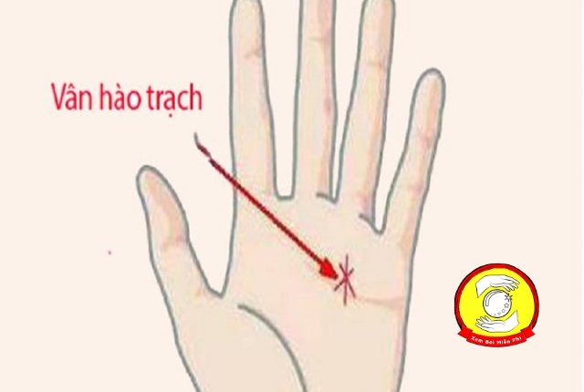 Chỉ tay hào trạch