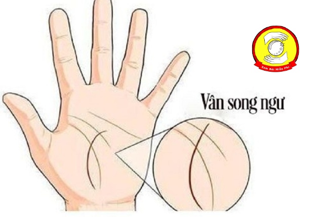 Vân song ngư trong lòng bàn tay