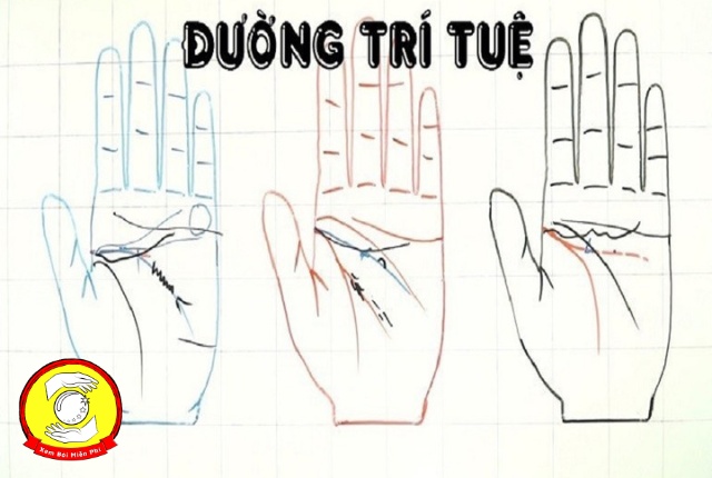 Đường chỉ tay trí tuệ