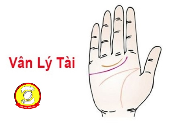 Vân tay lý tài ở nữ giới