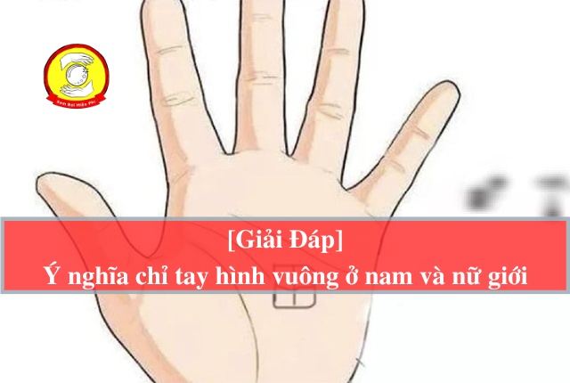 [Bật Mí] Chỉ tay có hình vuông mang ý nghĩa gì ở nam và nữ?